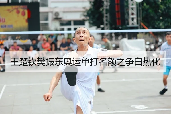 王楚钦樊振东奥运单打名额之争白热化
